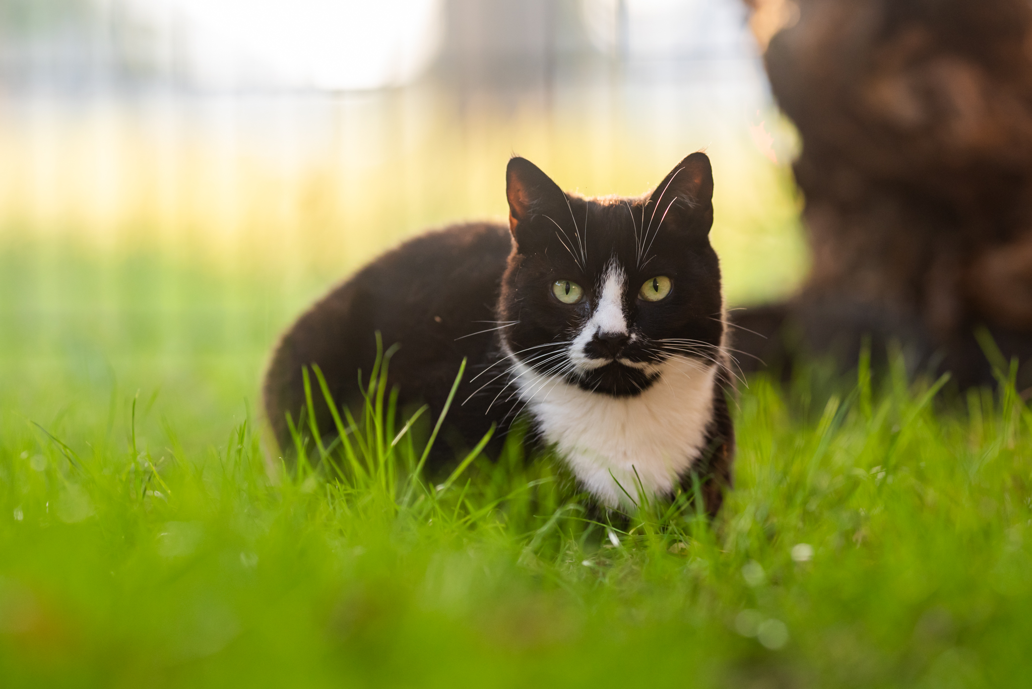 Peggy Peggy_2548